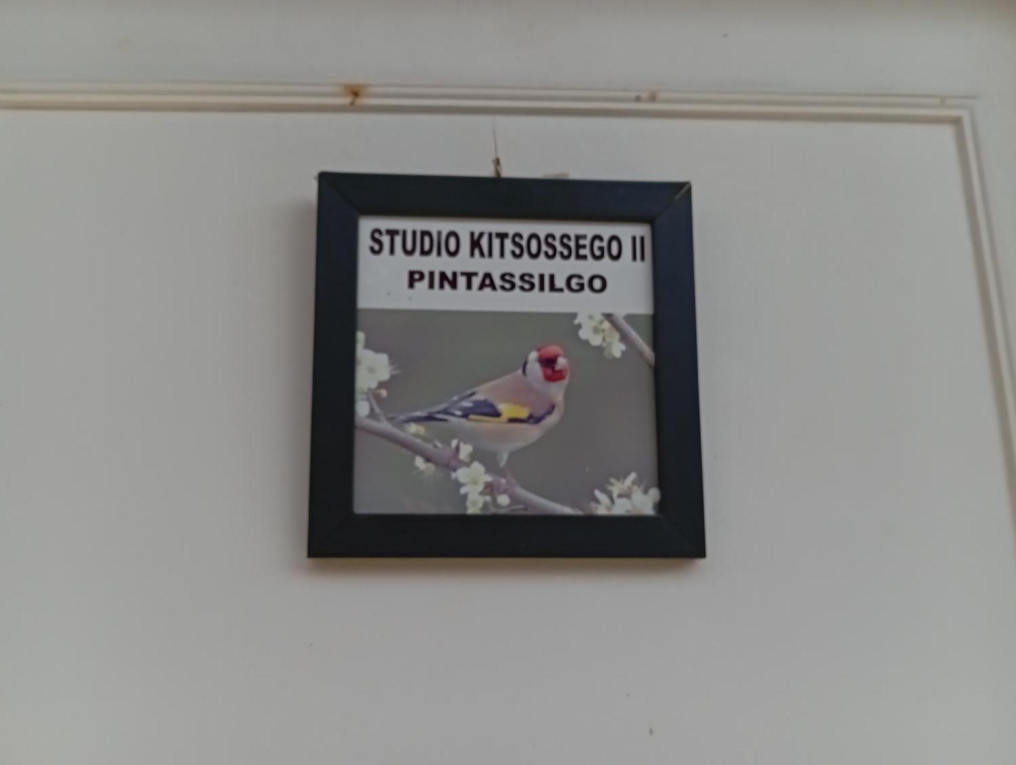 Studio Kitsossego Curitiba Eksteriør billede