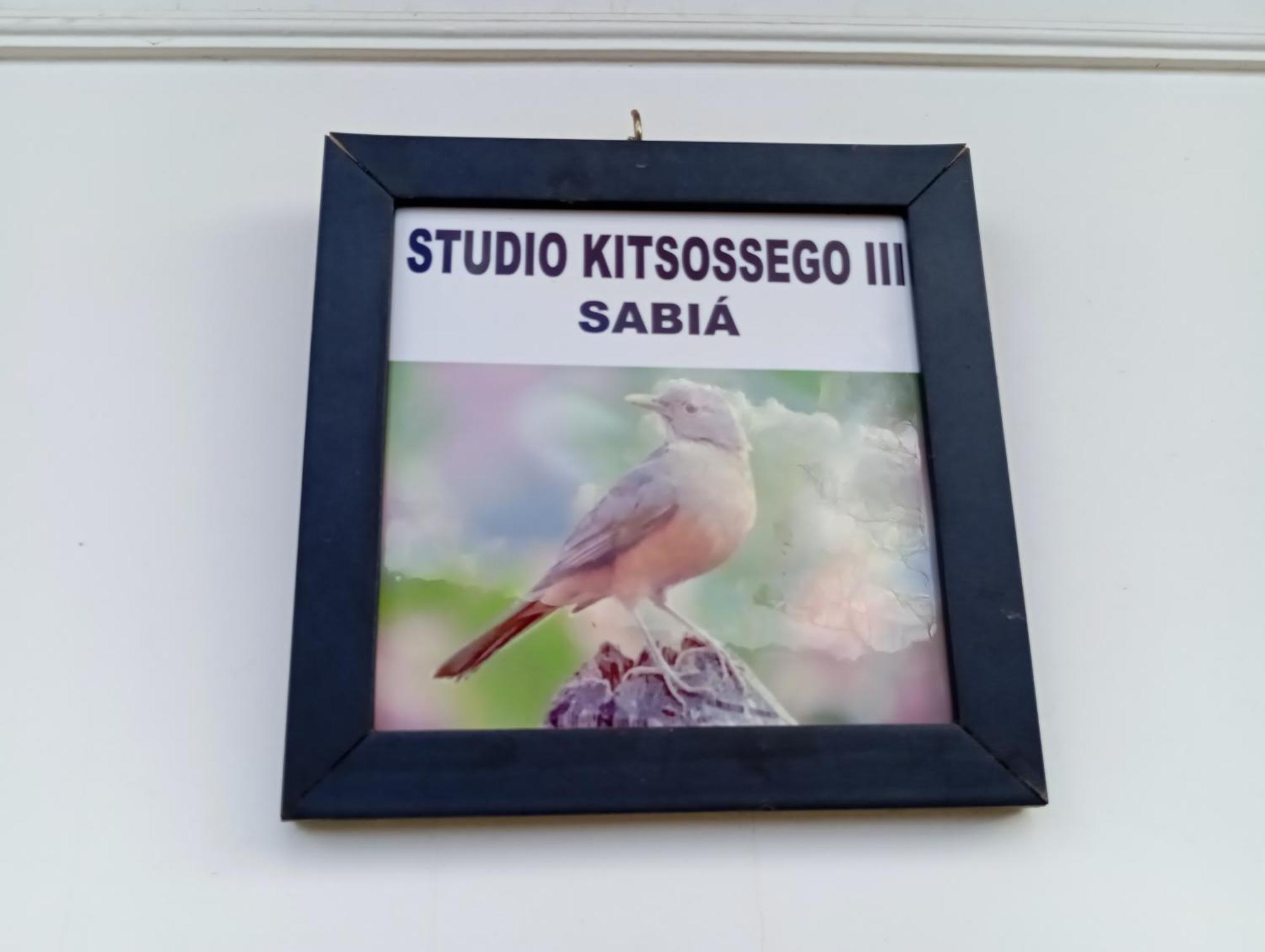 Studio Kitsossego Curitiba Eksteriør billede